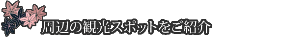 周辺の観光スポットをご紹介