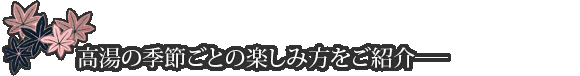 高湯の季節ごとの楽しみ方をご紹介
