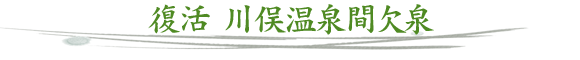 復活川俣温泉間欠泉
