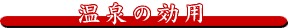 ����̌��p