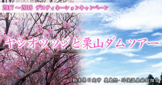 2017〜2019デスティネーションキャンペーン ヤシオツツジと栗山ダムツアー