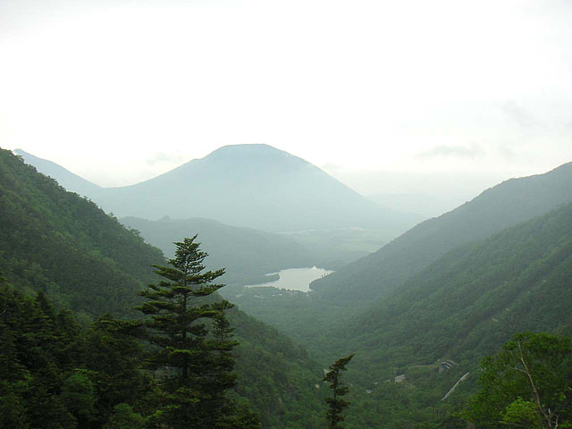 根名草山