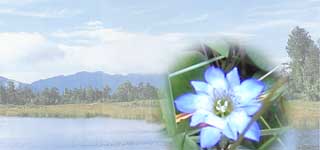 ���S�{�g���b�L���O���