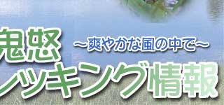 ���S�{�g���b�L���O���