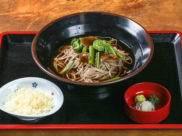 冷やしかけそば