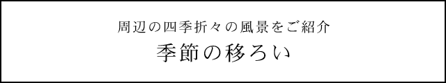 周辺の四季折々の風景をご紹介 季節の移ろい