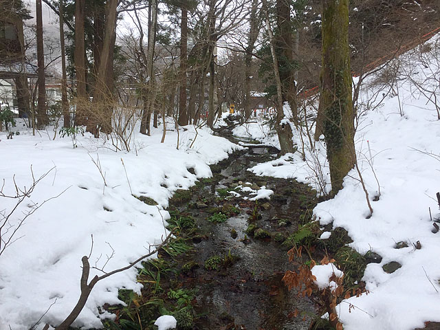 料理長のおすすめ 冬の懐石