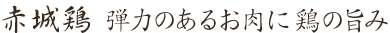 赤城地鶏 弾力のあるお肉に鶏の旨み