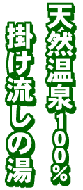 ���c�� �V�R����̏h �E�G���J���E�G���J�� �V�R����100% �|�������̓�