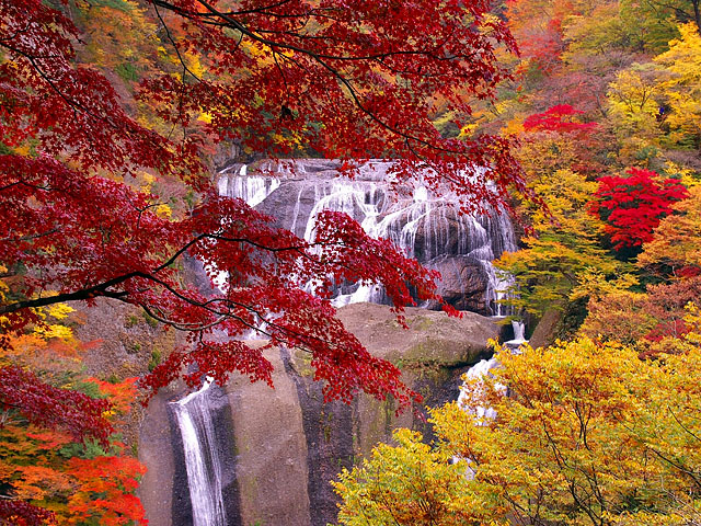 袋田の滝