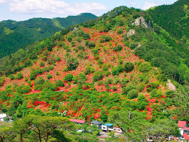 矢祭山